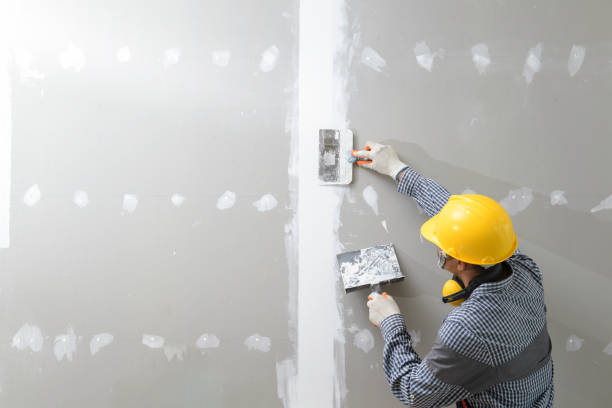 Best Air Quality Testing for Mold Spores  in Wrightsville, AR