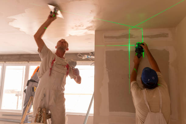 Best Basement Mold Removal  in Wrightsville, AR