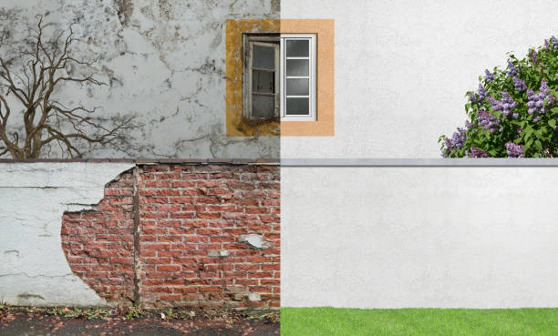 Best Post-Construction Mold Inspection  in Wrightsville, AR