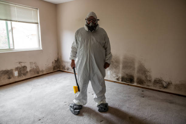 Mold Documentation for Insurance Claims in Wrightsville, AR